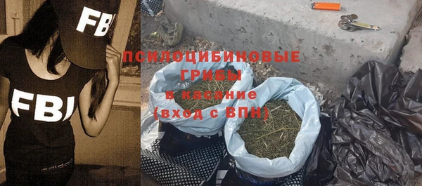 СК Бородино