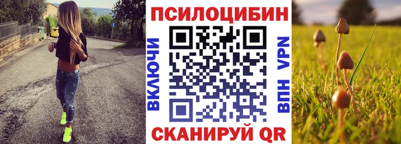 блэк спрут ТОР Камызяк Галлюциногенные грибы Psilocybine cubensis наркотики