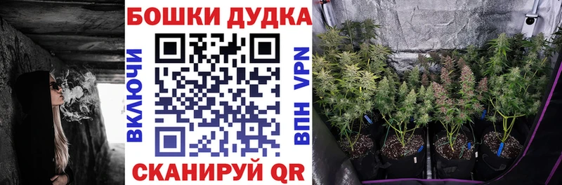МАРИХУАНА конопля  Камызяк 